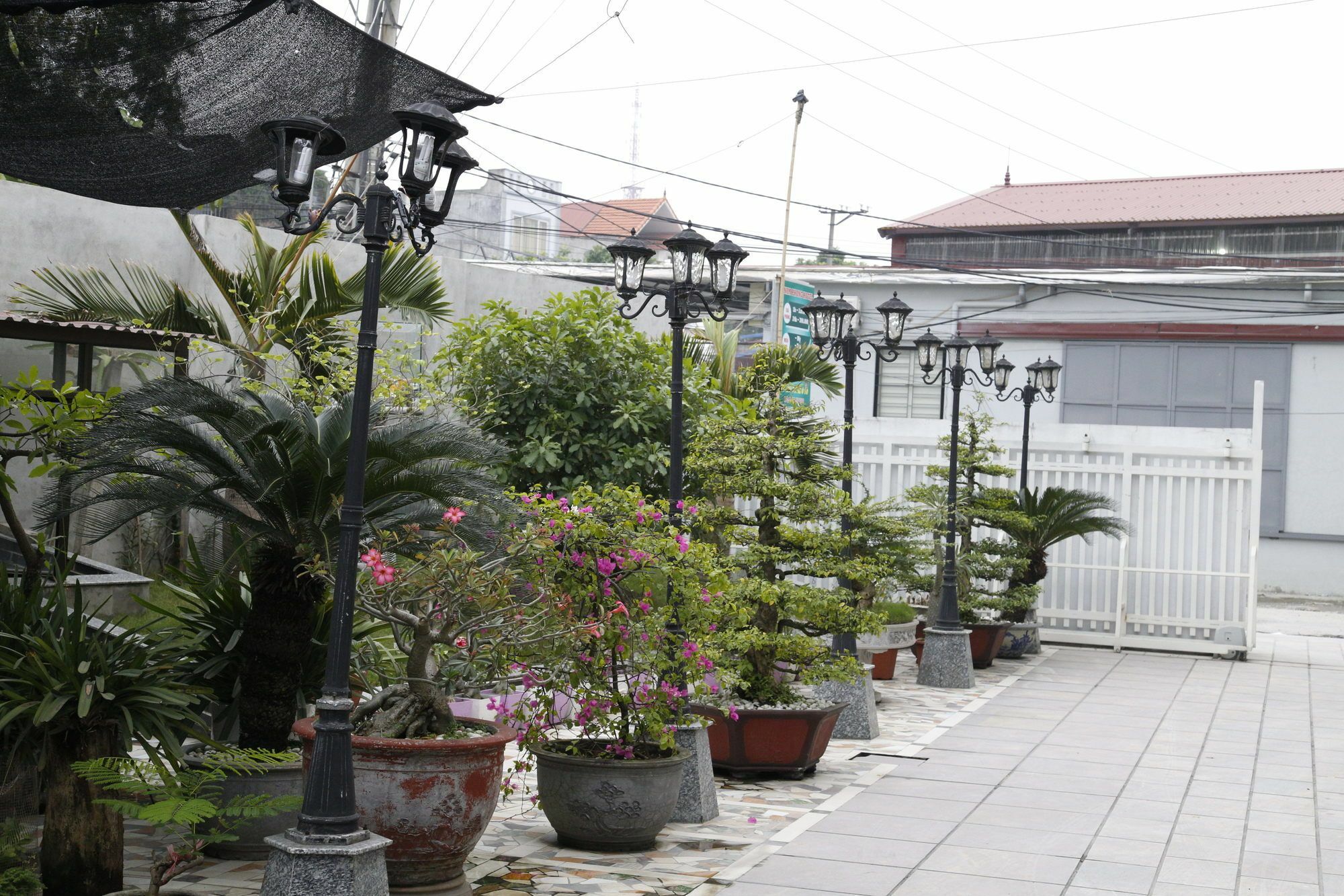 Nam Phong Hotel Hai Phong Exterior photo